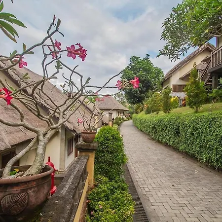 Bali Masari Villas & Spa Ubud-3